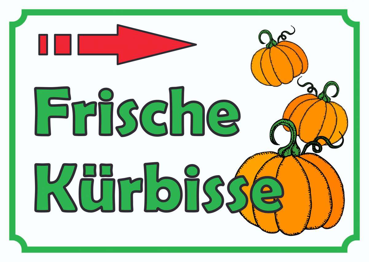 Verkaufsschild Schild Kürbis zu verkaufen Pfeil nach ...